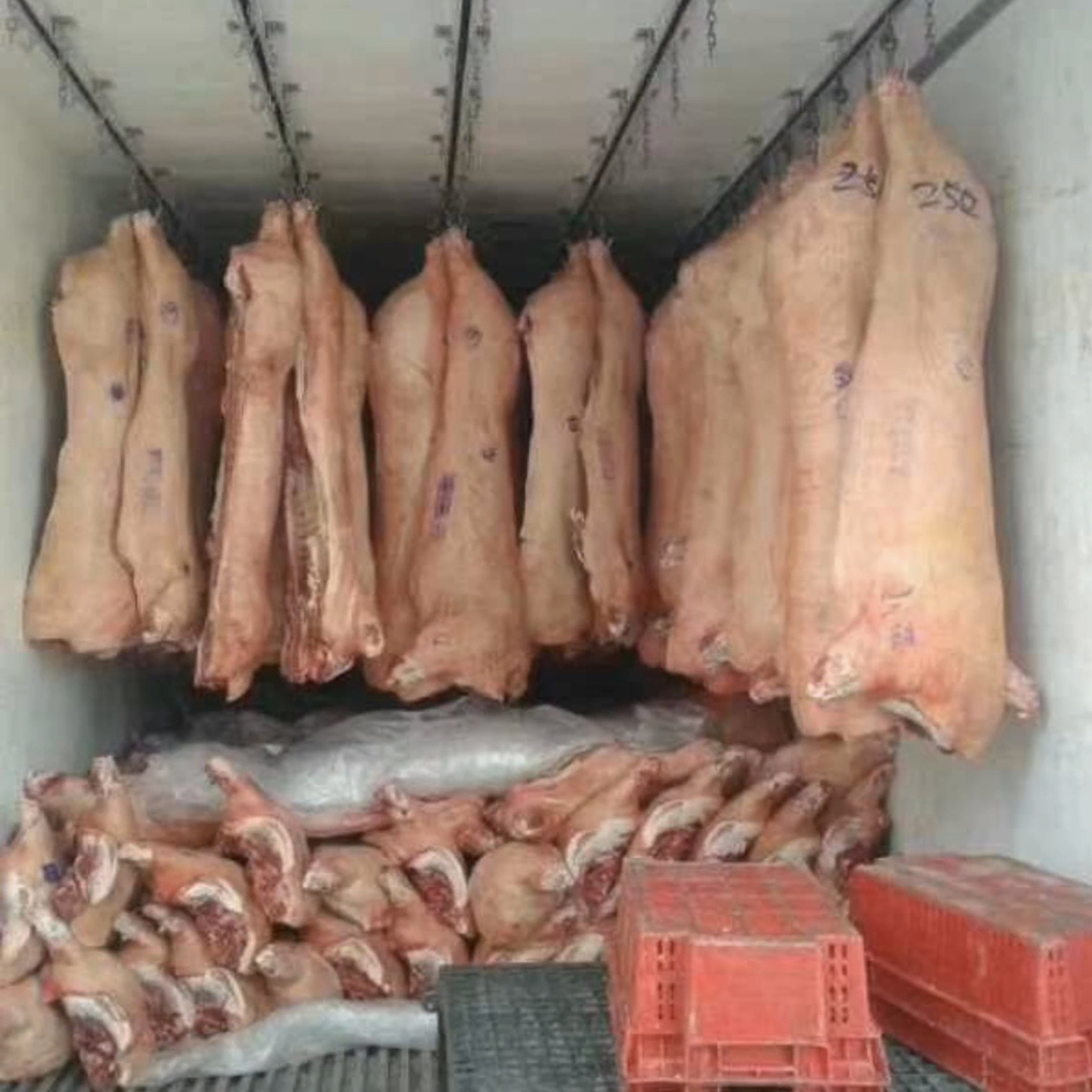  Meat Carass Roof Hanging Refrigerated Truck Body