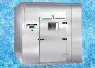 WALK-IN deep Freezers Galvanized Steel Plate with PU Composite sandwich panel,Cold Room